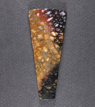 Colorful Pocket Rot Petrified Wood Designer Cabochon  #21768