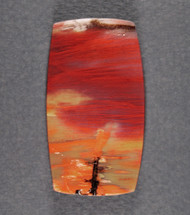 Dramatic Arizona Rainbow Wood Designer Cabochon  #21775