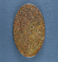 Multi-colored Dinosaur Bone Cabochon- Yellow and Orange  #21789
