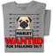 Wanted for Stalking 24/7 | Personalized T-shirt | Sport Grey T-shirt
Pug