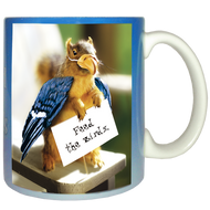 Feed the Birds Mug