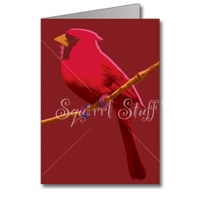 Red Candy Cardinal Note Cards | Boxed set of 8