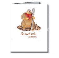 So Much Seed, So Little Time Cards Boxed Set of 8