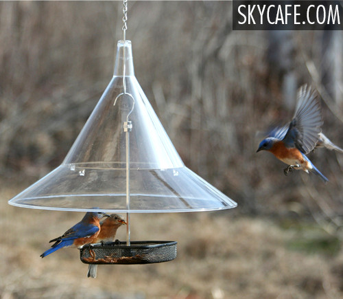 Squirrel Proof Baffle