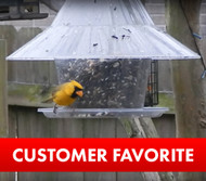 Rare Yellow Cardinal feeding at a Sky Cafe Bird Feeder
American Made Bird Feeder