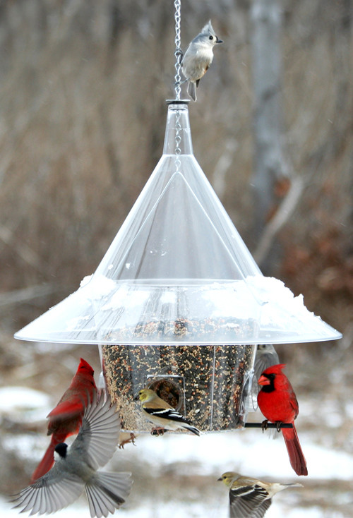 Mandarin A La Carte Bird Feeder Squirrel Proof