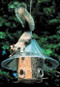 The BEST Mandarin Bird Feeder
(Image shows with  A la Carte Dividers - Sold Separately
American Made Bird Feeder