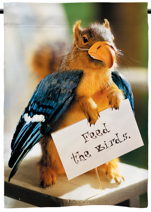 Feed the Birds | Funny Squirrel Garden Flag | 12" x 18" | 100% polyester