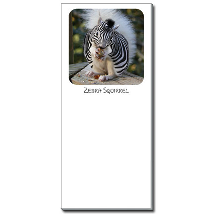Zebra Squirrel Notepad | Funny Squirrel Magnetic Shopping List