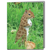 Giraffe Squirrel Cards | Boxed Set of 8 |Undiscovered Squirrels