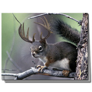 Deer Squirrel Cards | Boxed Set of 8 |Undiscovered Squirrels