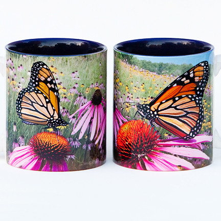 Monarch on Glade Mug | Butterfly Mug | Jim Rathert Photography