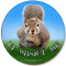 It Wasn't Me Sandstone Ceramic Coaster | Funny Squirrel Coaster | Front