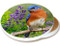 Summer Bluebird Sandstone Ceramic Coaster  | Image shows front and cork back