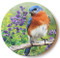 Summer Bluebird Sandstone Ceramic Coaster  | Front