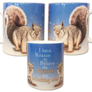 I have reason to believe the squirrels are mocking me Mug | Funny Squirrel