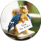 Feed the Birds SandstoneCeramic Coaster | Front