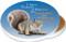 I have reason to believe the Squirrels are Mocking Me Sandstone Ceramic Coaster | Image shows front and cork back