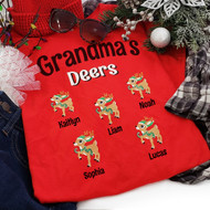Christmas Deers T-Shirt | Personalized Title and Names
