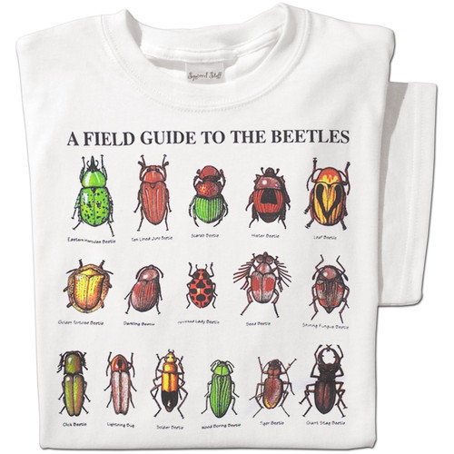 Field Guide to Beetles T-shirt | Nature Tee
