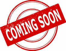 2027 13 Month Las Vegas Wall Calendar