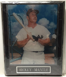 New York Yankees Mickey Mantle Wall Plaque Baseball