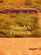1974 Porsche 911, 914 Jaguar XKE,,Datsun Honda ads