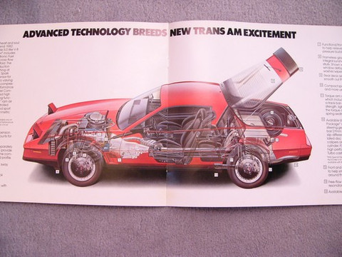 1982 Pontiac Firebird poster and brochure catalog