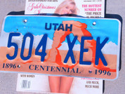 Utah Centennial 1996 car license plate