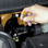 Beta 900/55Z 1/4" Drive Reversible Ratchet with 72 Tooth Count Mechanism
