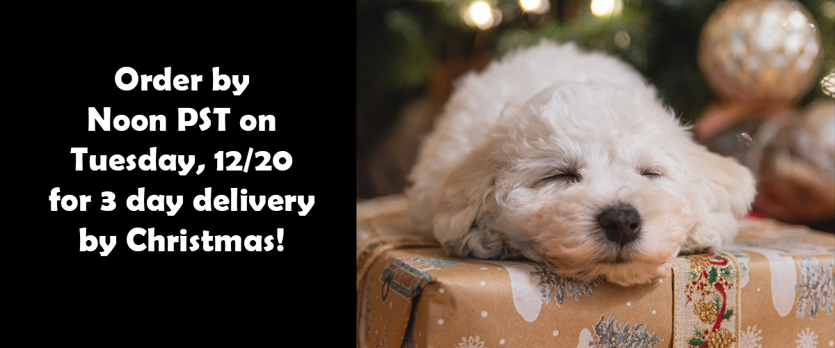 Black box on left with text "Order by noon PST on Tuesday 12/20 for 3 day delivery by Christmas!" and image of white dog asleep on wrapped present on right.
