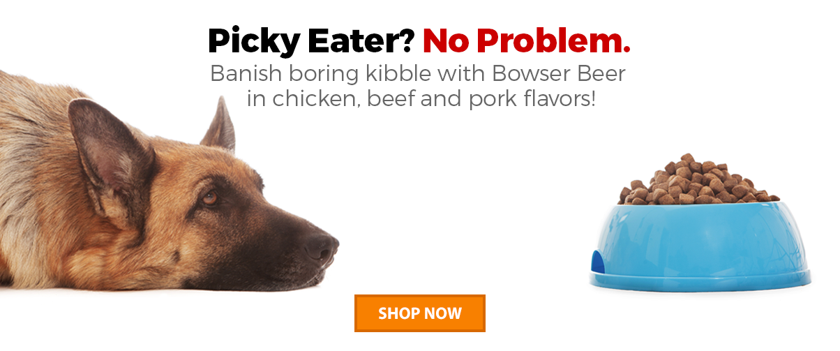 Dog looking at blue bowl of kibble with text reading "Picky Eater? No Problem. Banish boring kibble with Bowser Beer in chicken, beef and pork flavors!"
