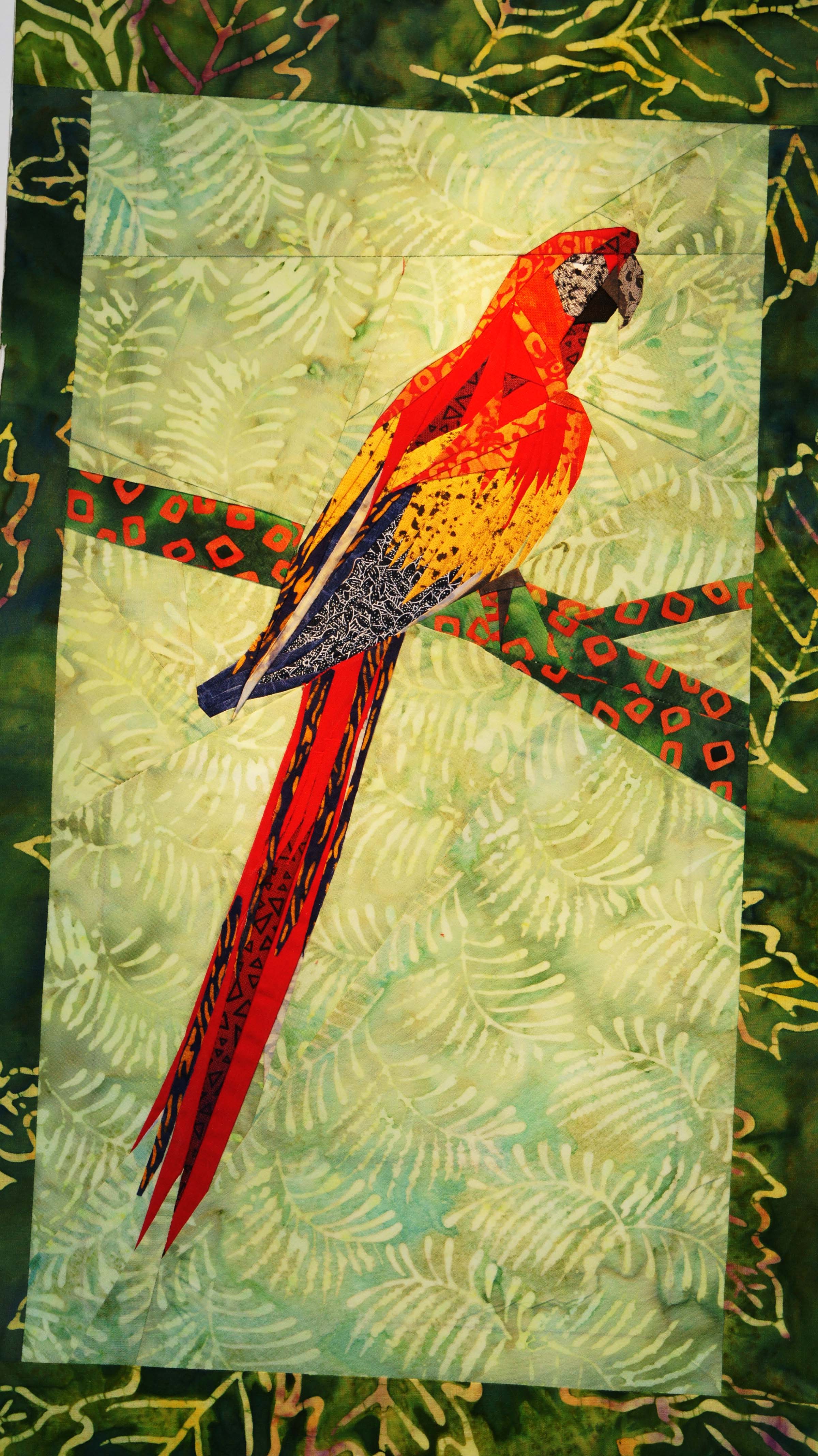 dsc01616-red-macaw.jpg