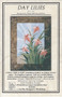 Day Lilies Front Cover