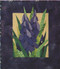 Grape Hyacinths Paper Piecing Pattern Quilt Block