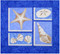 Starfish & More Paper Piecing Pattern Quilt