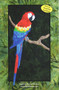 Parrot Picture Paper Piecing Quilt Front Cover