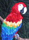 Parrot Picture Paper Piecing Quilt Close-up