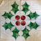 The Holly Holiday Foundation Paper Piecing Quilt Option