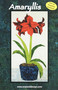 Amaryllis - NEW Form of Foundation Paper Piecing (Picture Piecing) Pattern Quilt Front Cover