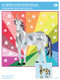 The Unicorn and Horse Abstractions - Foundation Paper Piecing Quilt Front Cover