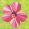 Hibiscus Flower Block