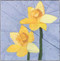 Daffodil Flower Block