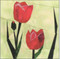Tulips Flower Block