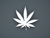 Weed Marijuana Leaf Stainless Metal Car Truck Motorcycle Badge Emblem (select size)
