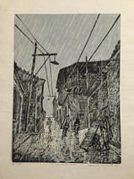 Joseph L Scarpaci Roberto Serge Mario Coyula Havana - 