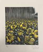 Samuel Riera, Untitled, 2025. Lithograph print edition 1 of 10. 11” x 8.5” #5557K