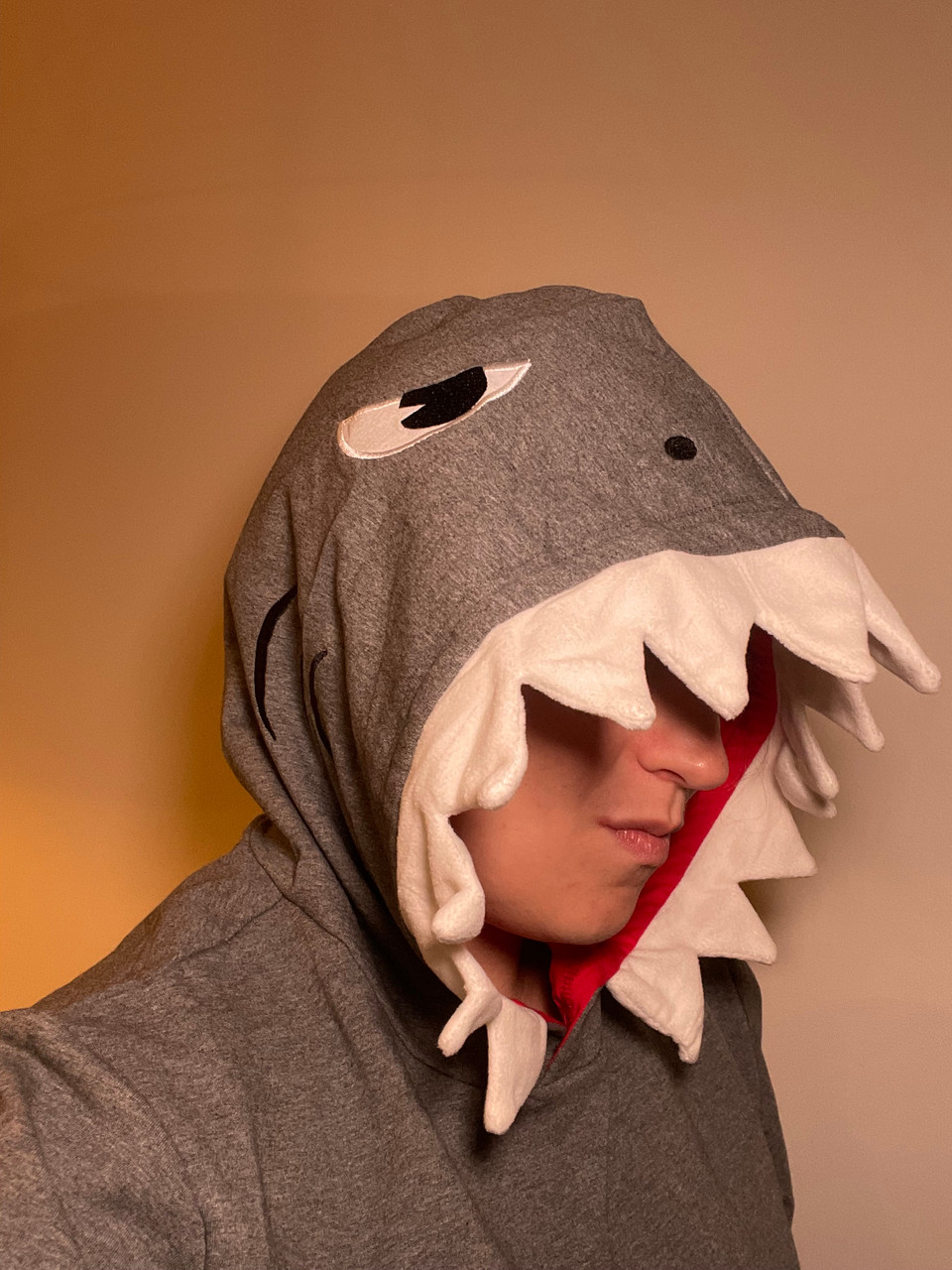 Shark 3D Hoodie Adult