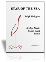 Star of the Sea (band)