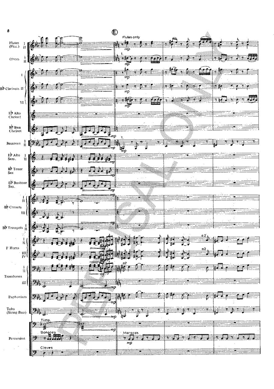 Image 9